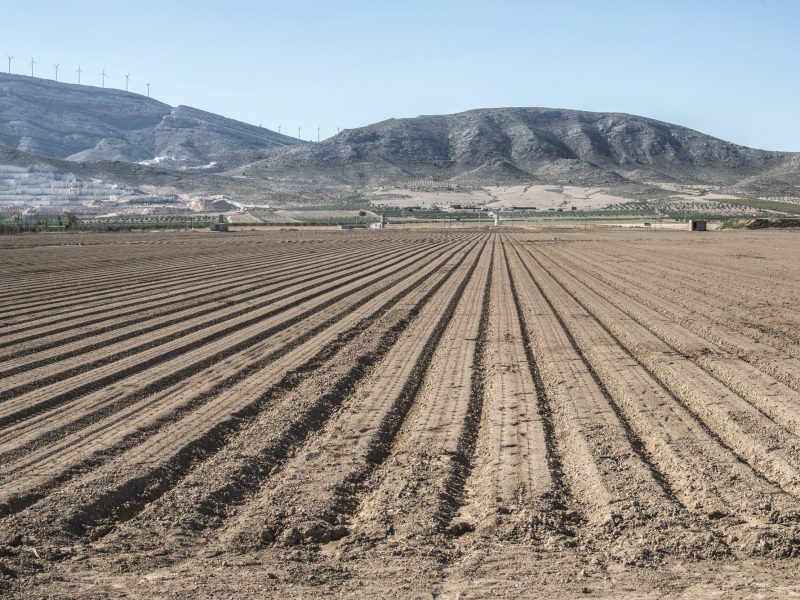 Plowed land